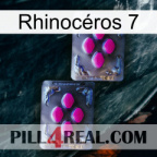 Rhinocéros 7 01